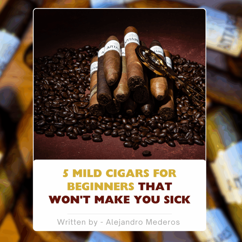 5 Mild Cigars for Beginners That Won’t Make You Sick