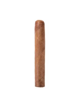 Robusto