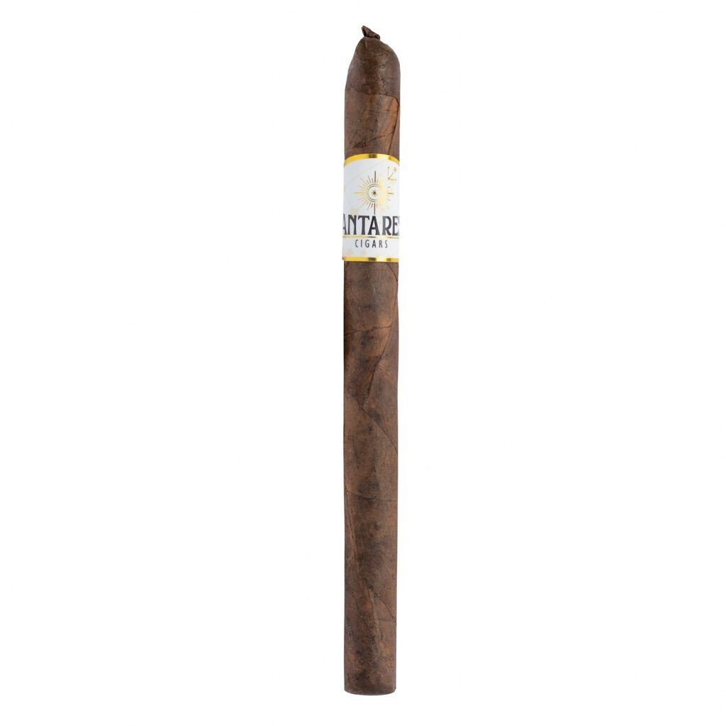 A single brown cigar standing upright with a white and gold label reading ANTARES CIGARS and a sun emblem.