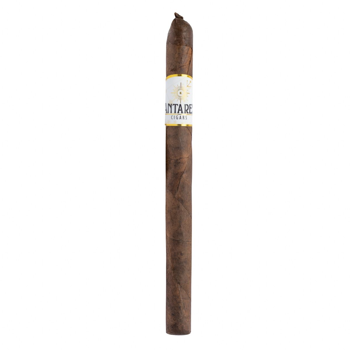 A single brown cigar standing upright with a white and gold label reading ANTARES CIGARS and a sun emblem.